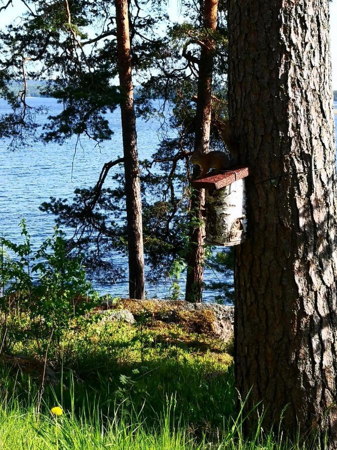 Club House Hotelli Kaipolan Ranta Jämsä Exterior foto